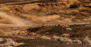 铃木一朗在日职与美职累计达成的安打数，被许多专家认为才是真正的世界第一